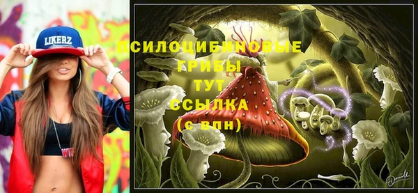 прущие крисы Алексин