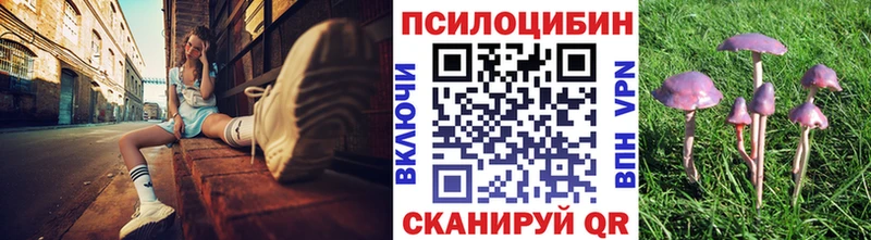 Галлюциногенные грибы GOLDEN TEACHER Топки